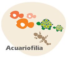 Acuariofilia