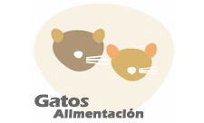 Gatos Alimentación