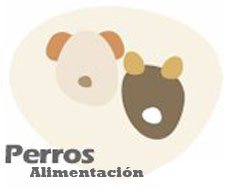 Perros Alimentación