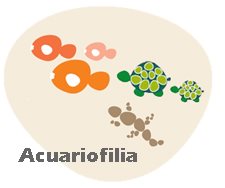 Acuariofilia